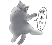 14619914