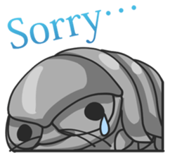 146245