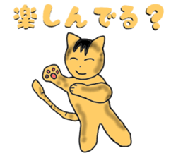 14627597