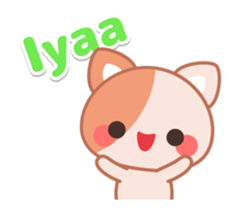 14633560