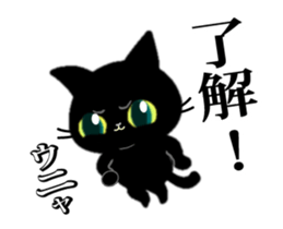 146336510