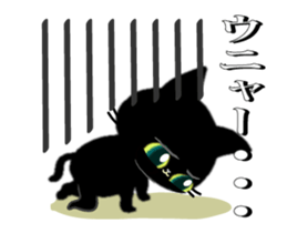 146336517