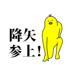 146407662