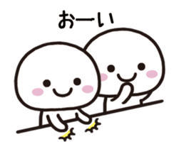146467778