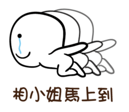 146474031