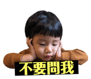 146503686
