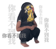 146503687