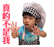 146503690