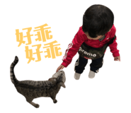 146503700