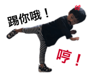 146503702
