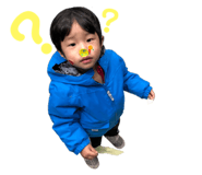 146503708