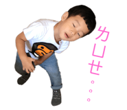 146503715