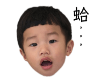 146503718