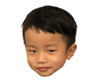 146503720