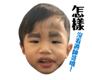 146503723