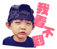 146549830