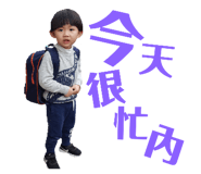 146549837