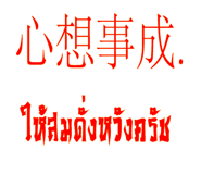 146563600