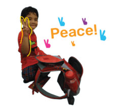 146573812