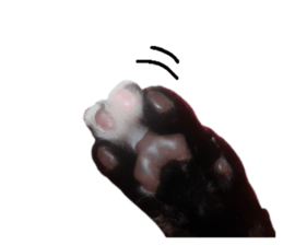 146593201