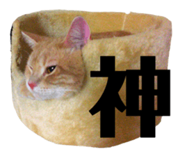 146610502
