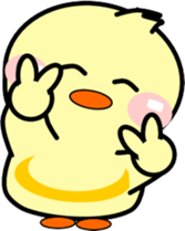 146619811