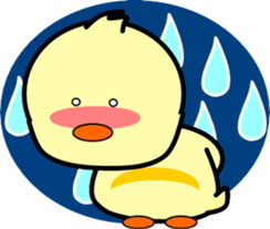 146619819