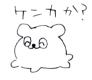 14662256