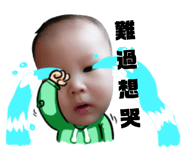 146636875