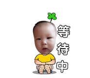 146636876