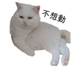 146643040
