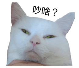 146643042