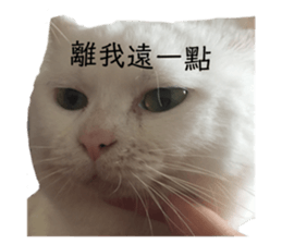 146643044