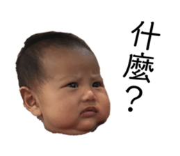 146666973