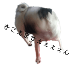 146755830