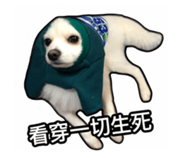 146872317