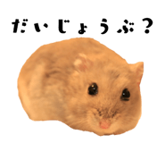 146889842