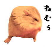146889845