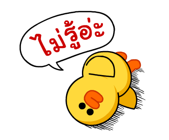 ลายที่ 24