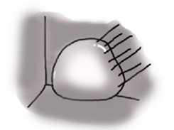 14692759