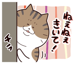 146968415