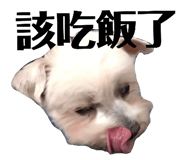 147446639