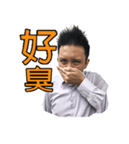 14746306
