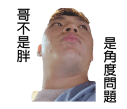 147574088