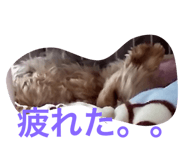 147962125