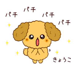 148012761