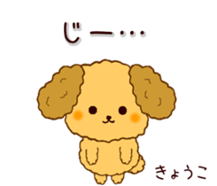 148012765