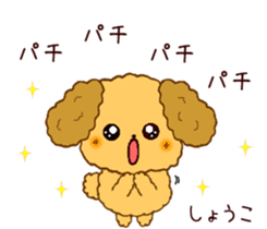 148022169