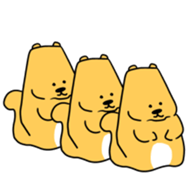 14804836