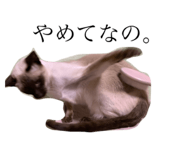148056313